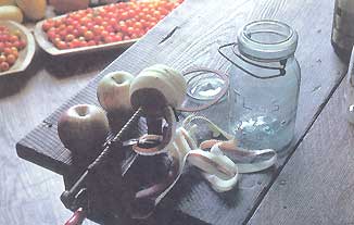 
This old-time apple peeler really works. Order at www.lehmans.com. 
